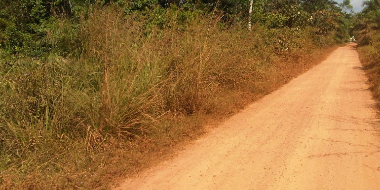 223. Tanah Sungai Gelam, 2,6 H - Irwan Awang (5)