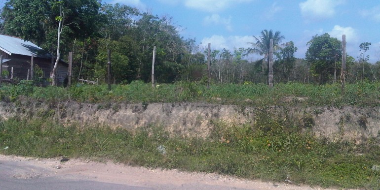 224. Tanah Sungai Gelam, Muaro Jambi, 2,5 M- Irwan Awang (3)