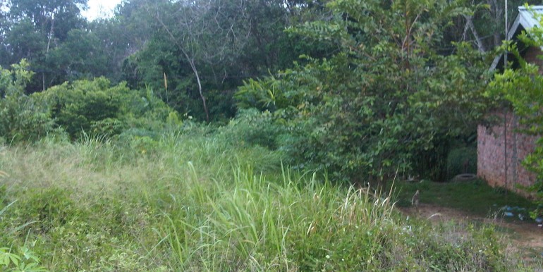 Tanah Jl. Hutan Kota, Mayang Mangurai-Irwan Awang (5)